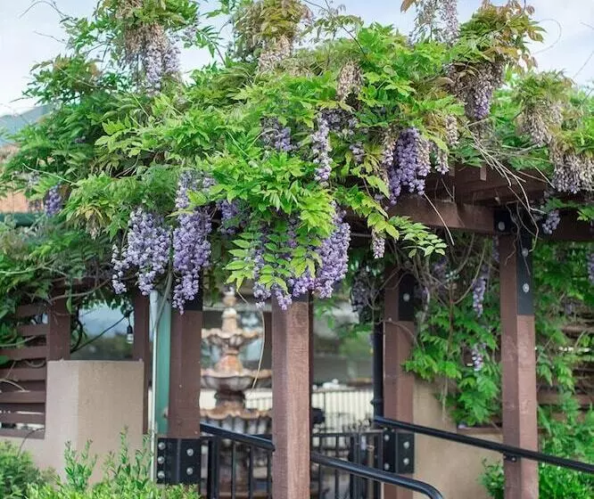 هتل Rogue Regency Inn & Suites