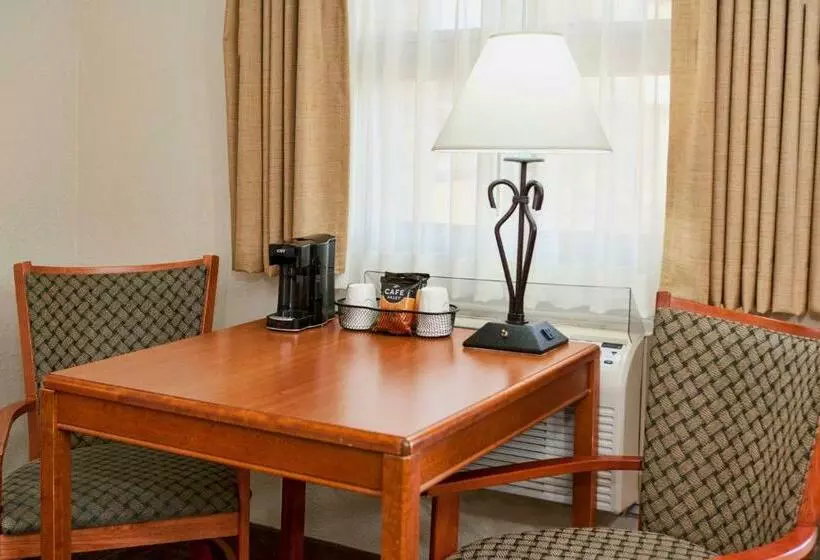 Motel The Downtown Duluth Inn