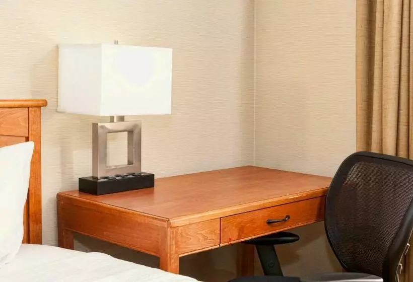 Motel The Downtown Duluth Inn