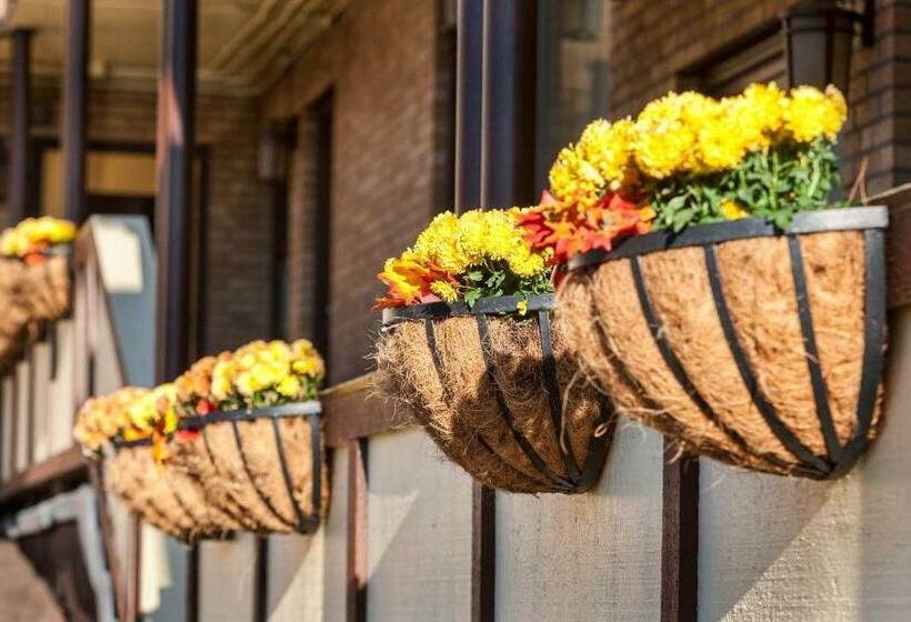 Motel The Downtown Duluth Inn