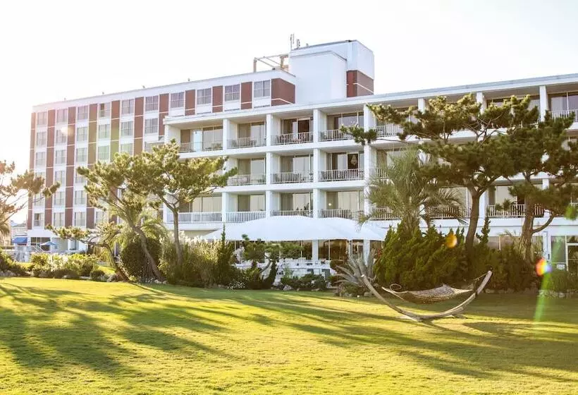 منتجع Trailborn Surf & Sound