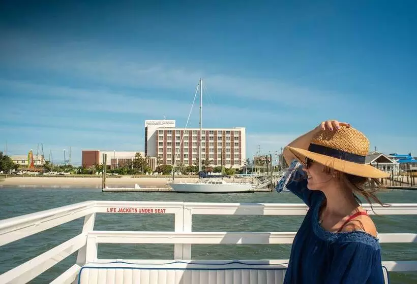 منتجع Trailborn Surf & Sound