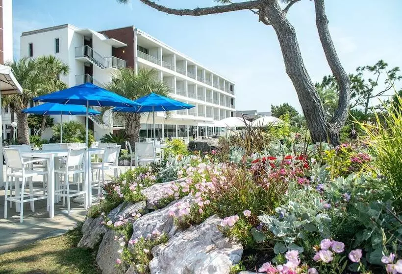 منتجع Trailborn Surf & Sound