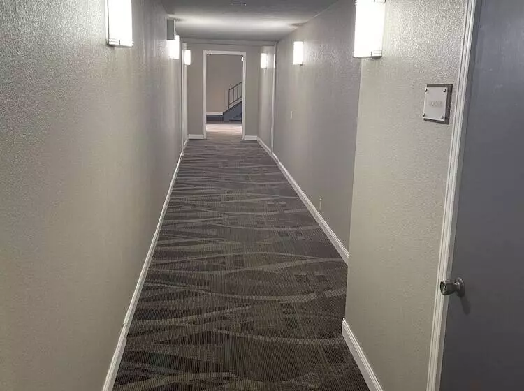 酒店 Baymont By Wyndham Bellevue / Omaha