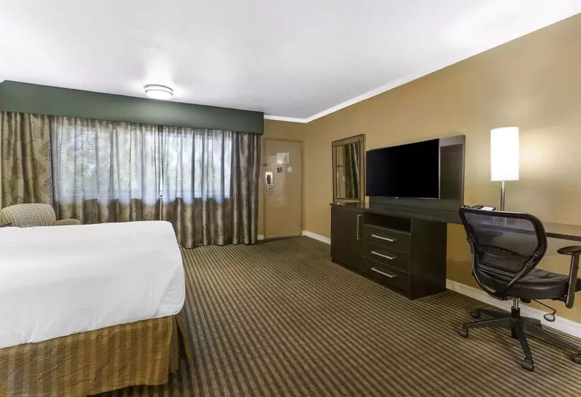 فندق Best Western Royal Sun Inn & Suites