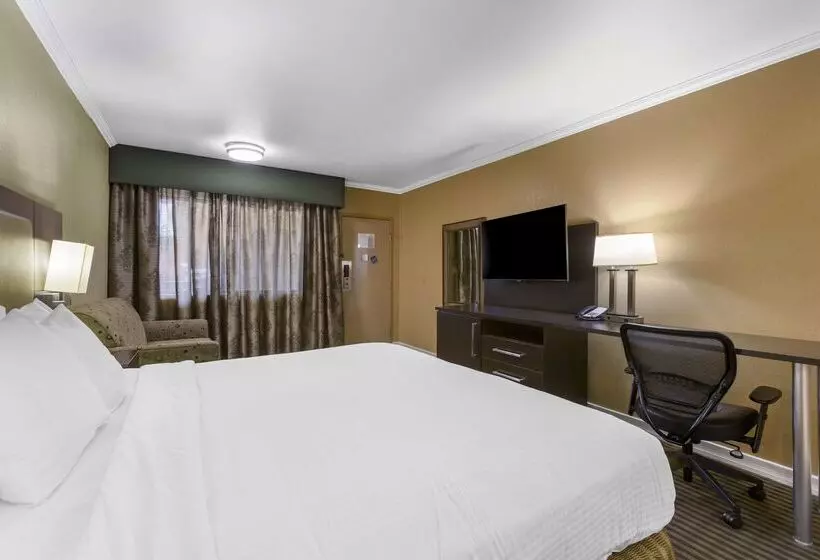 فندق Best Western Royal Sun Inn & Suites