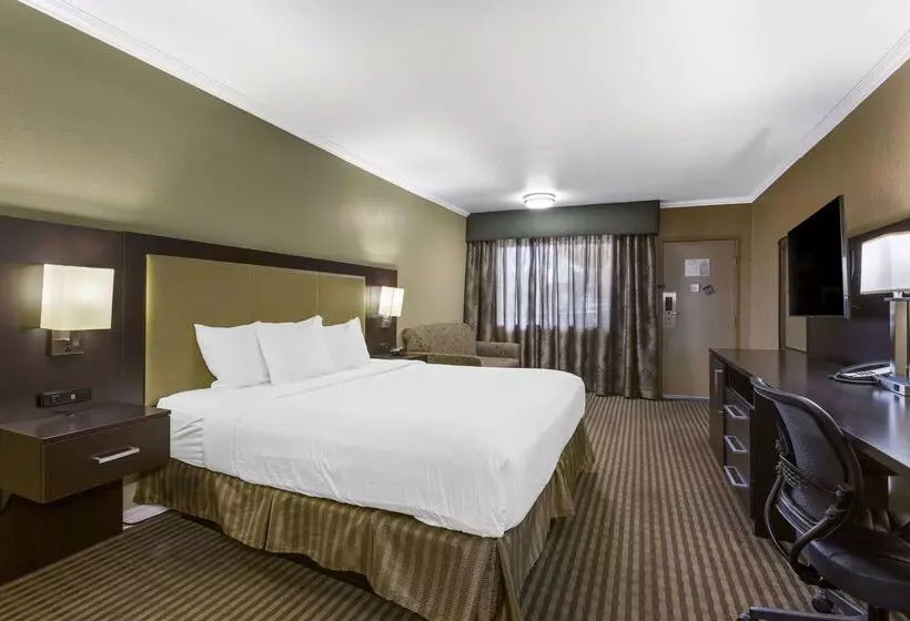 فندق Best Western Royal Sun Inn & Suites