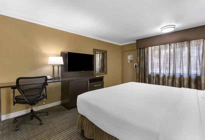 فندق Best Western Royal Sun Inn & Suites