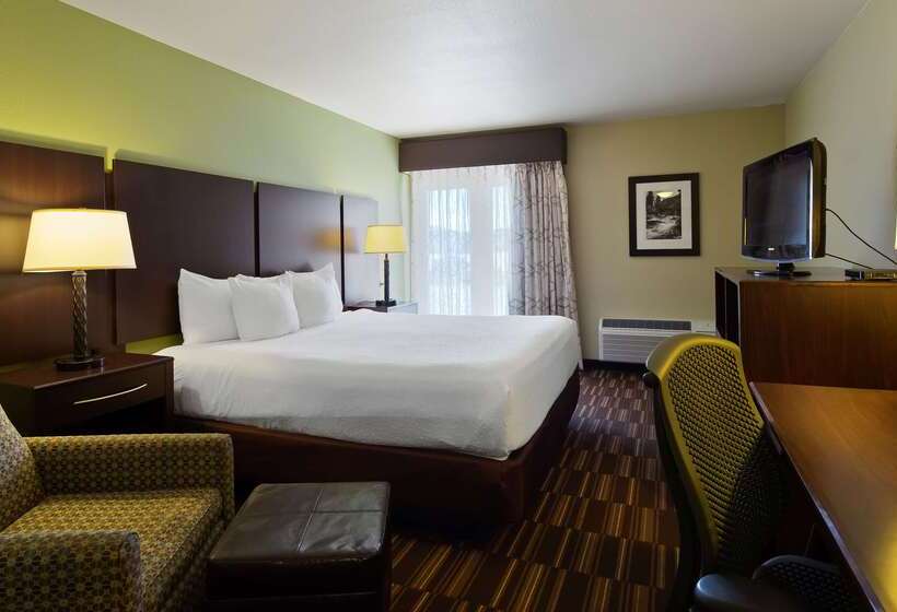 호텔 Best Western Sundowner