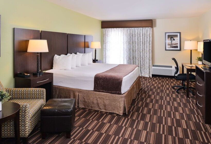 호텔 Best Western Sundowner