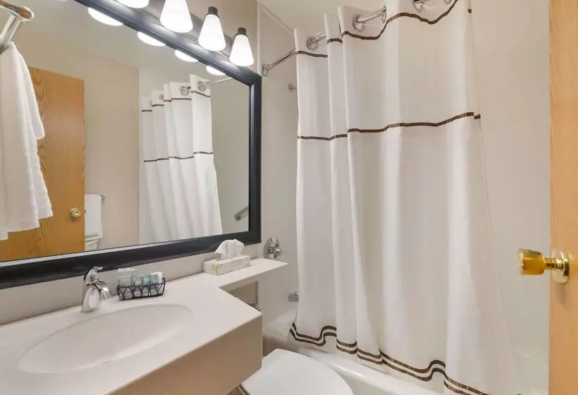 Otel Best Western University Inn