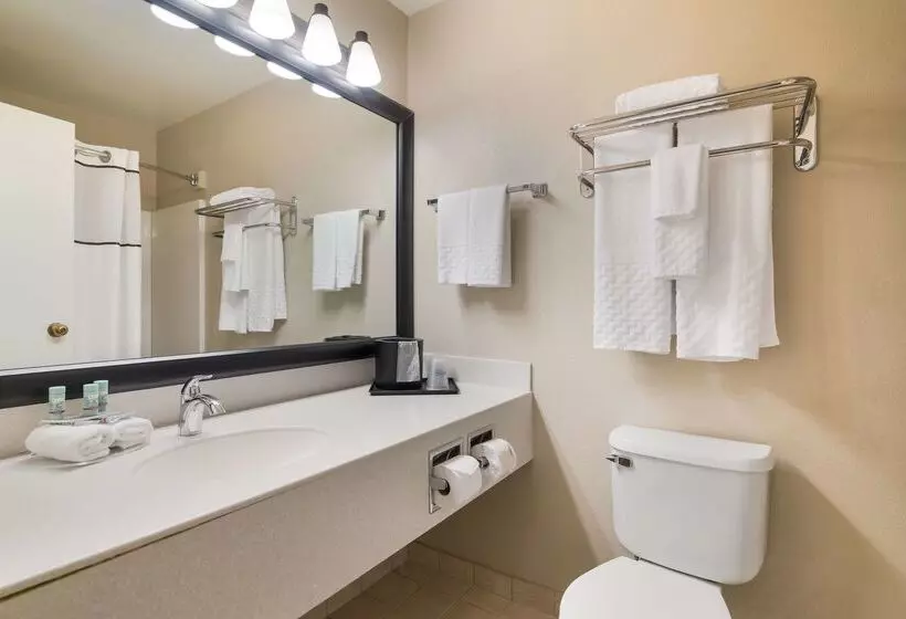 Otel Best Western University Inn