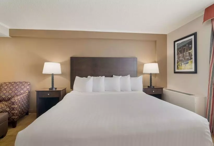 Otel Best Western University Inn