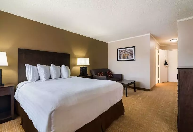 Otel Best Western University Inn