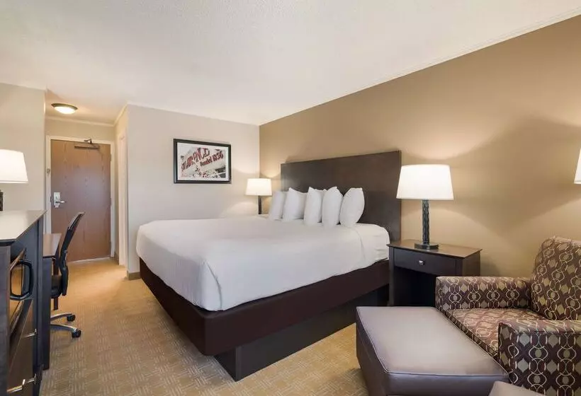 Otel Best Western University Inn