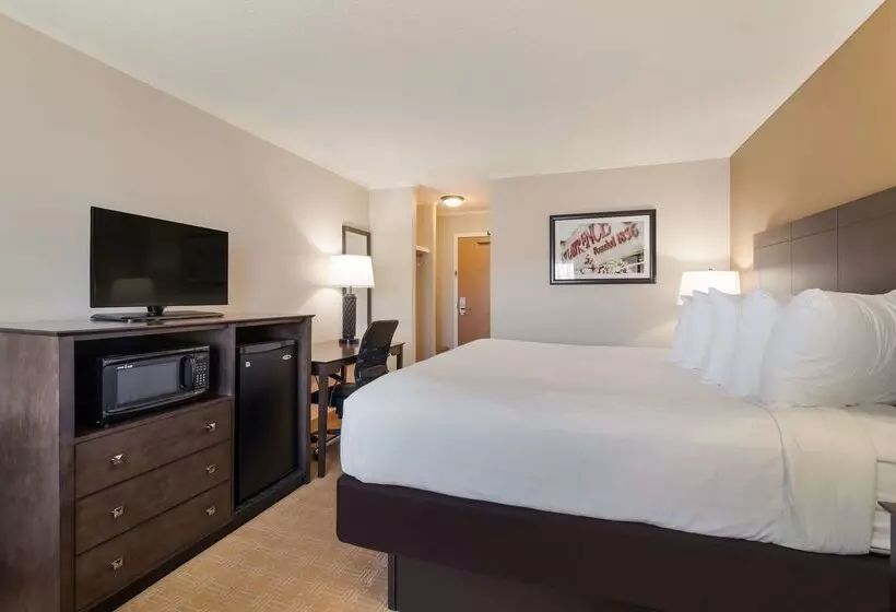 Otel Best Western University Inn