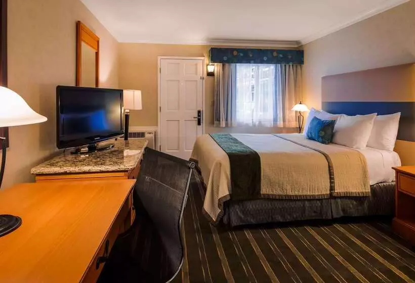 Otel Best Western University Lodge