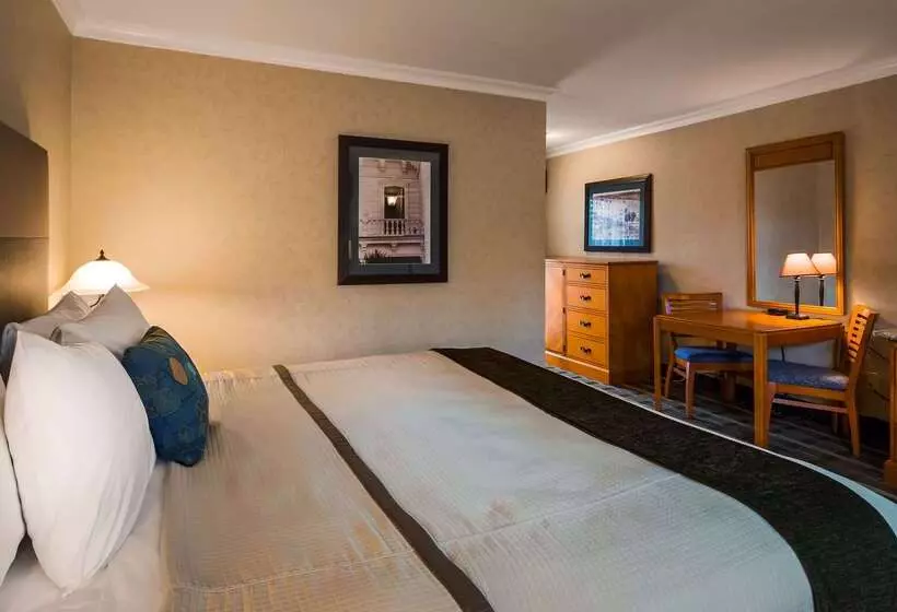 Otel Best Western University Lodge