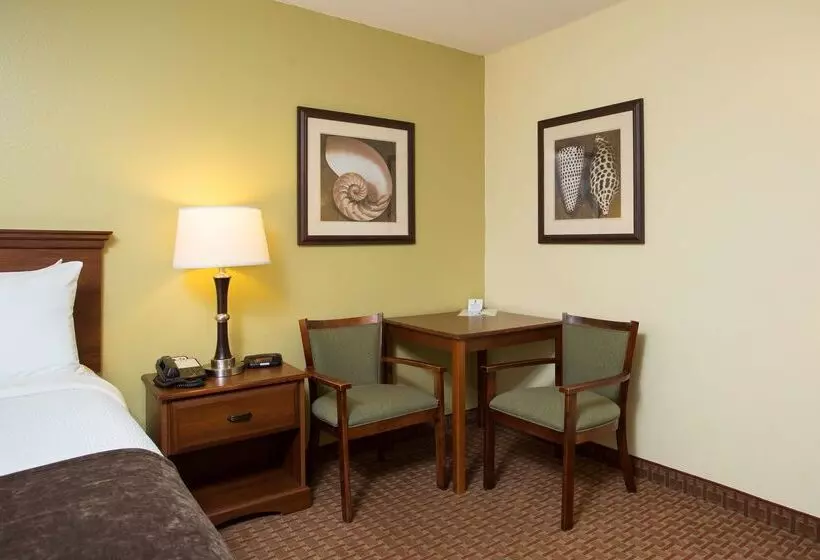 فندق Best Western York Inn