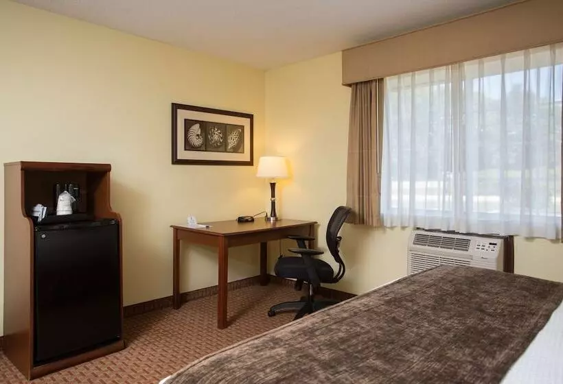 فندق Best Western York Inn