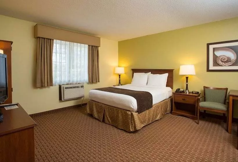 فندق Best Western York Inn