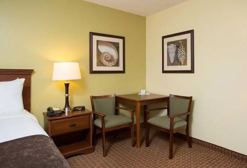 فندق Best Western York Inn