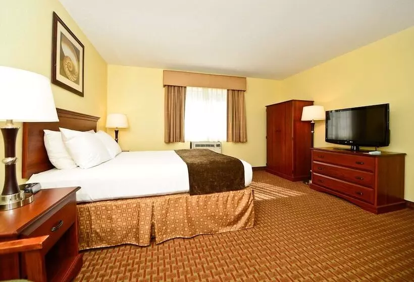 فندق Best Western York Inn