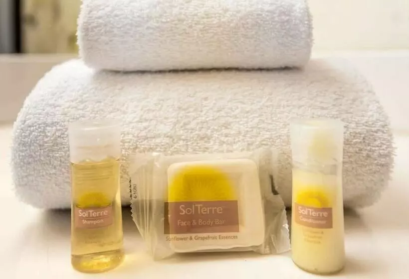 Отель Days Inn By Wyndham Airport  Phoenix