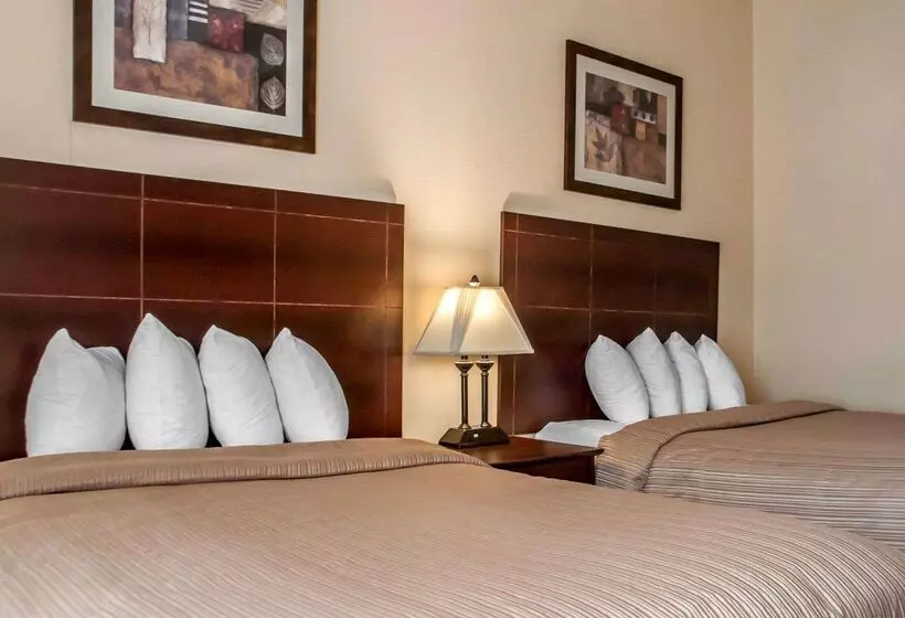 فندق Quality Inn Airport