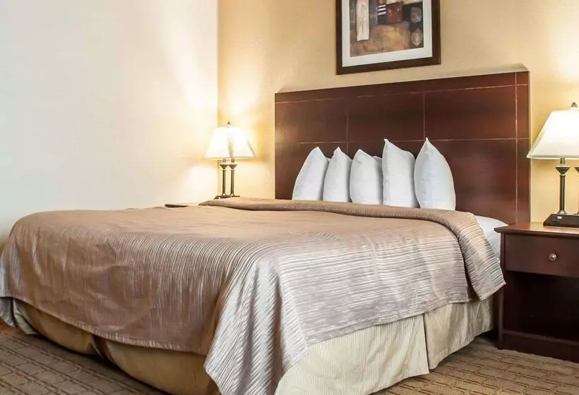 فندق Quality Inn Airport