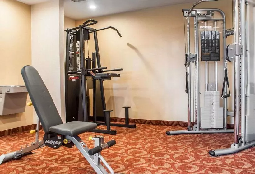 فندق Quality Inn Airport