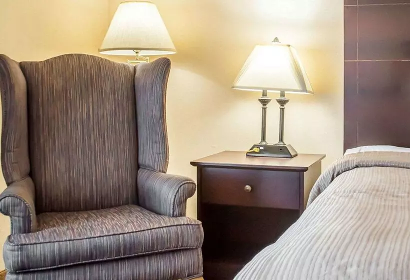 فندق Quality Inn Airport