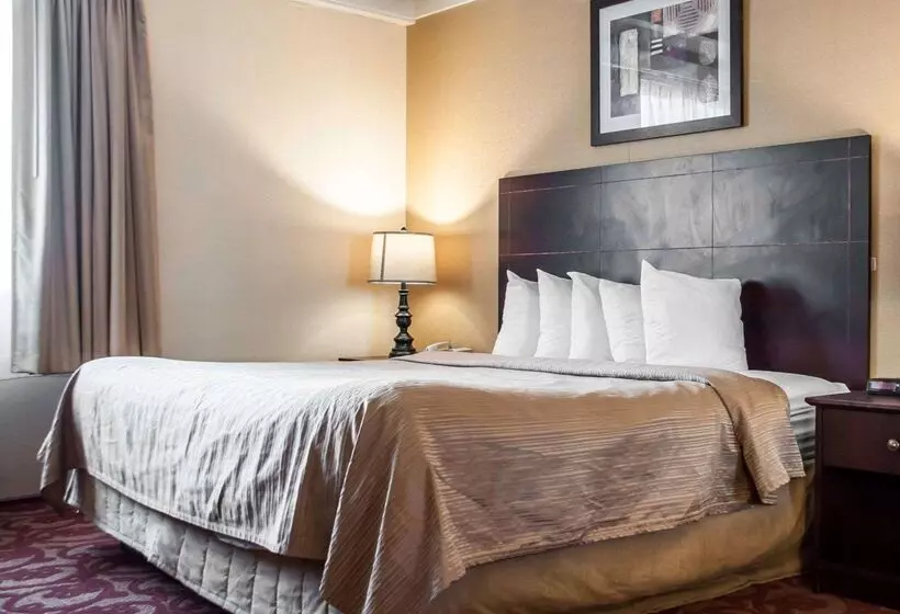 فندق Quality Inn Airport