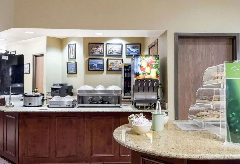 Hotel Quality Inn Columbus, Ms