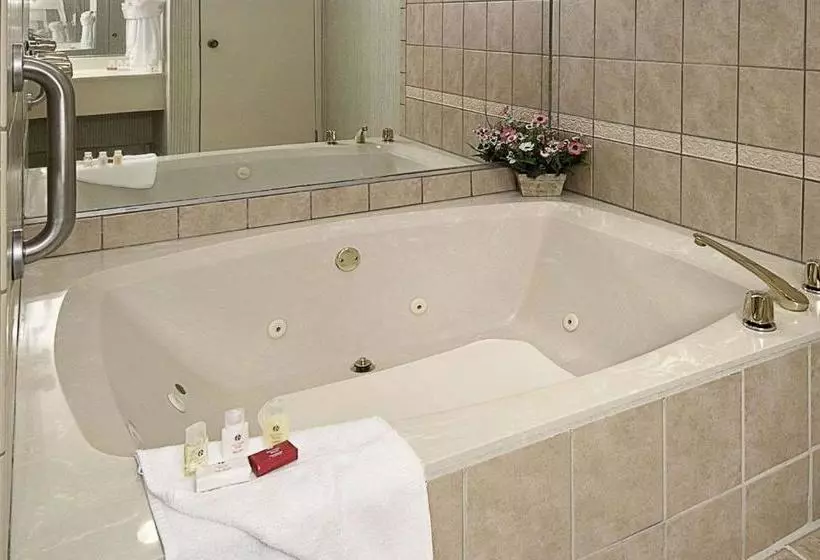 فندق Ramada By Wyndham Asheville Southeast