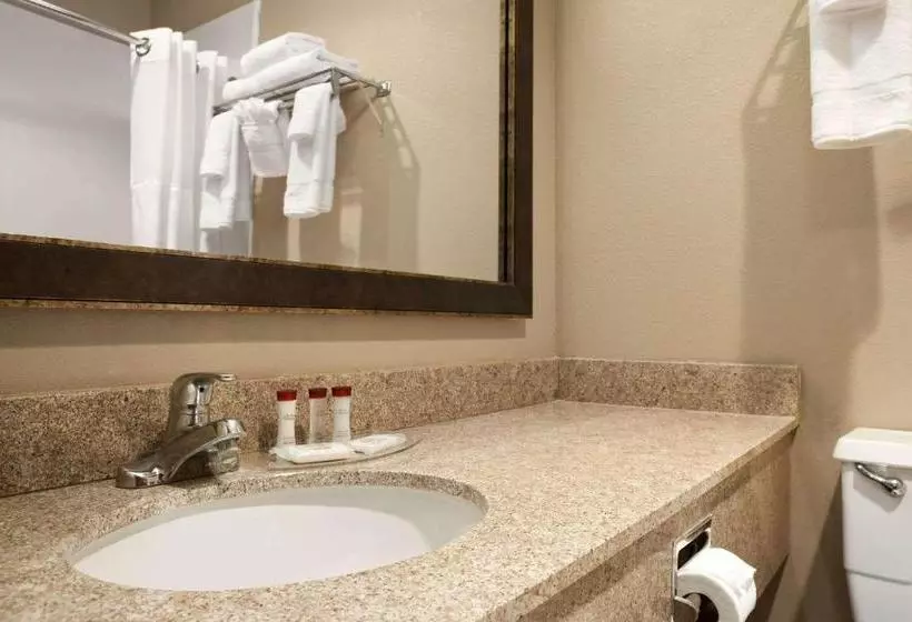 בית מלון כפרי Ramada By Wyndham Sioux City