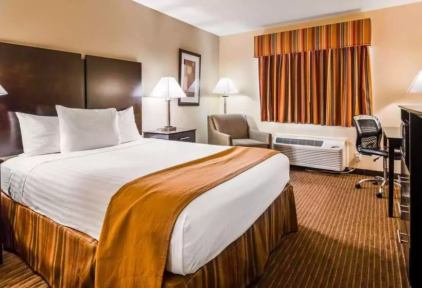 فندق Best Western Muncie