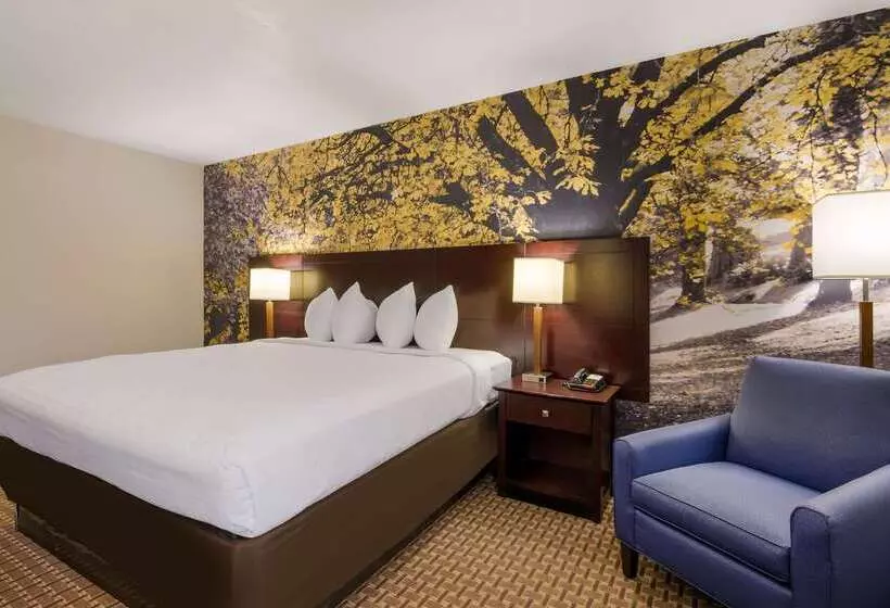 ホテル The Inn At Abingdon