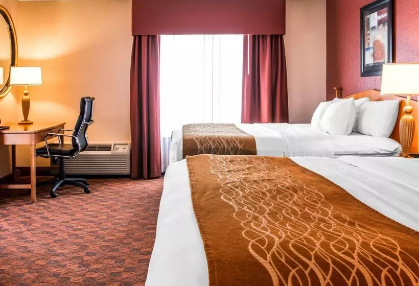 Отель Comfort Inn & Suites And Conference Center