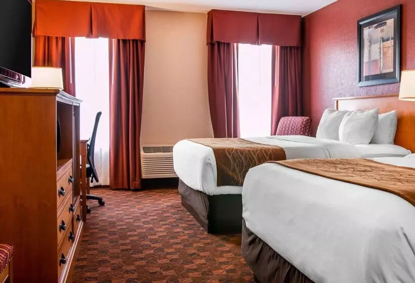 Отель Comfort Inn & Suites And Conference Center