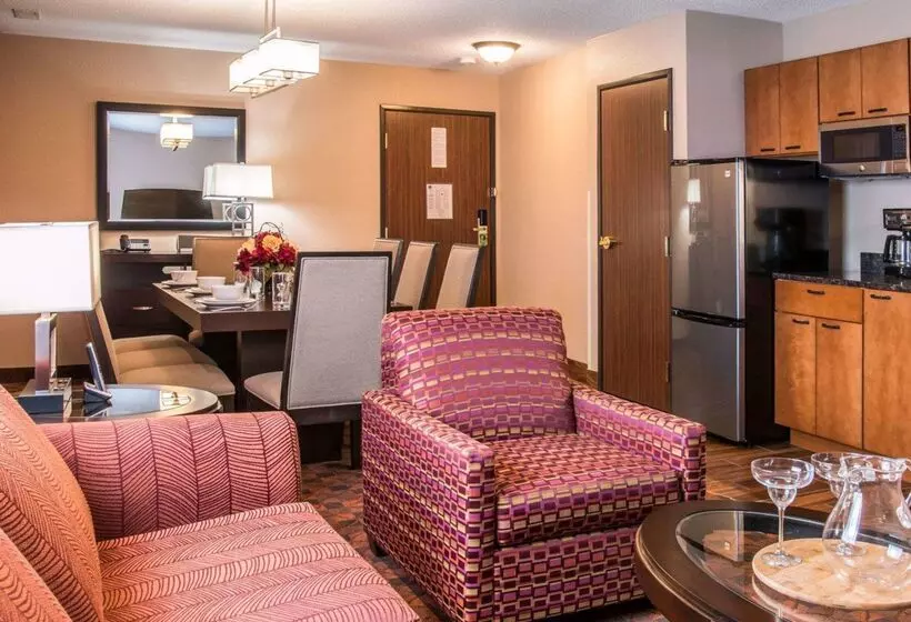 Отель Comfort Inn & Suites And Conference Center