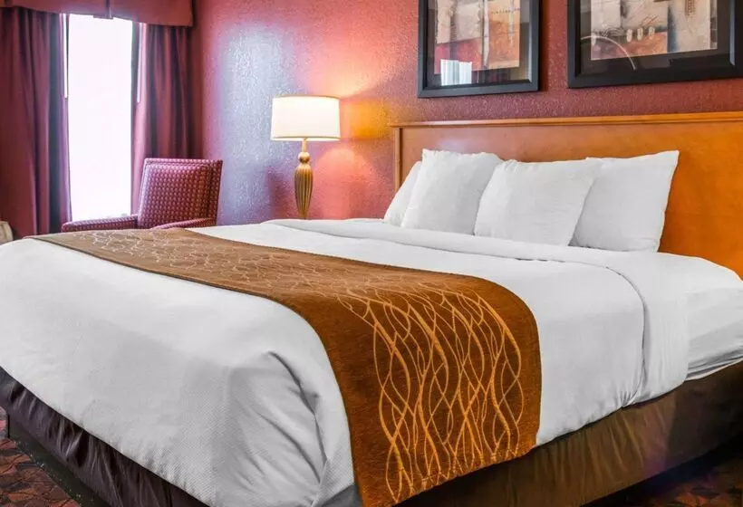 Отель Comfort Inn & Suites And Conference Center