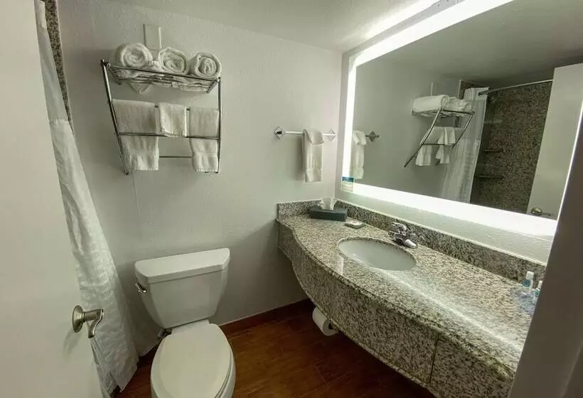 ホテル Mainstay Suites Conover Hickory