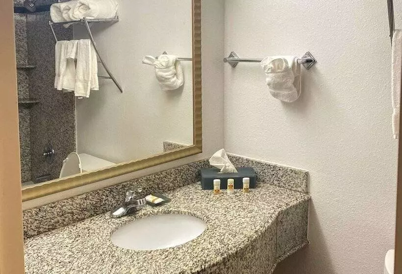 ホテル Mainstay Suites Conover Hickory