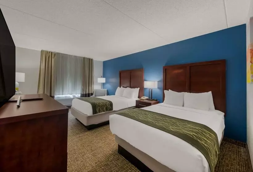 Otel Comfort Inn Newport News  Hampton I64