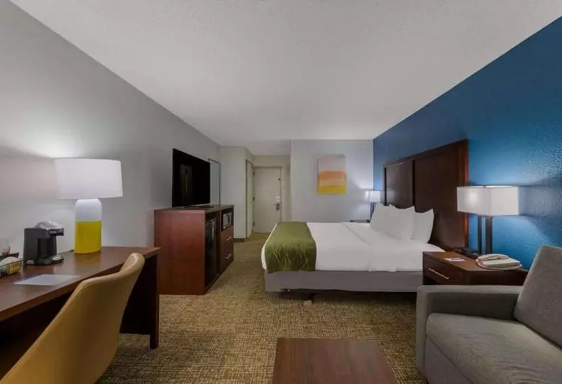 Otel Comfort Inn Newport News  Hampton I64