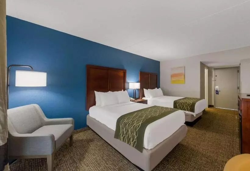 Otel Comfort Inn Newport News  Hampton I64