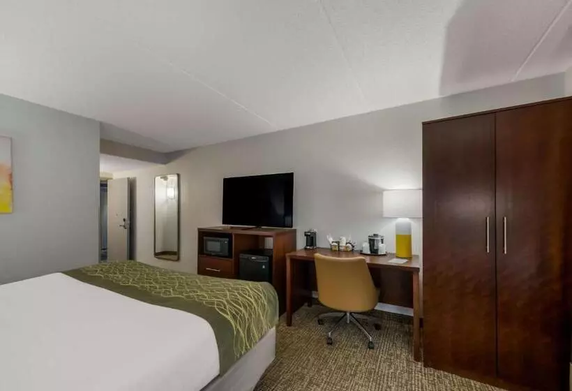 Otel Comfort Inn Newport News  Hampton I64