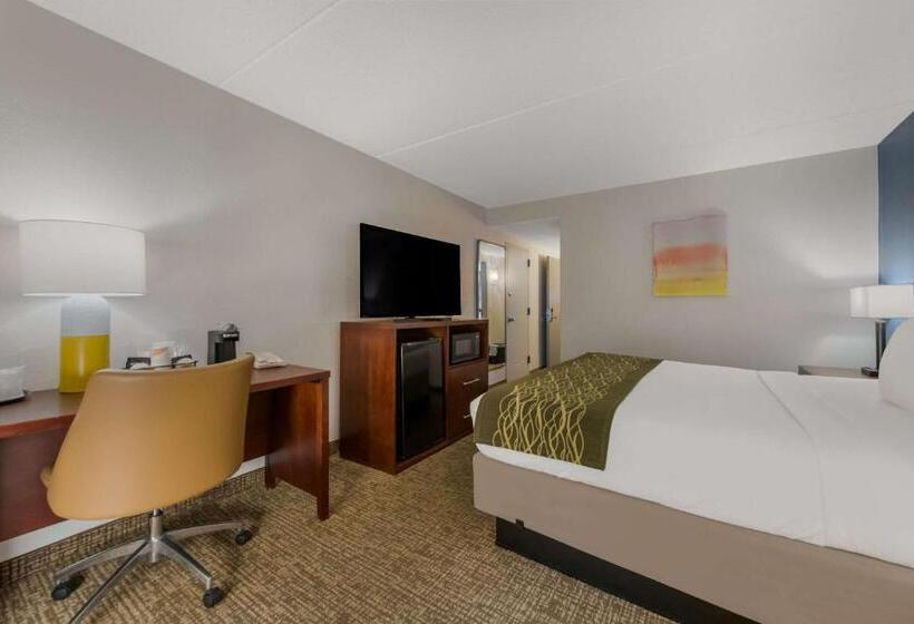 فندق Comfort Inn Newport News  Hampton I64