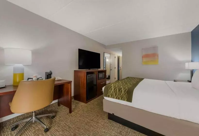 Otel Comfort Inn Newport News  Hampton I64